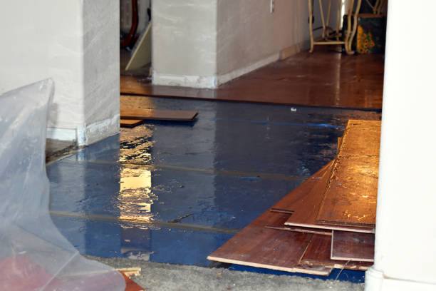 Professional Sewage Cleanup technician working in Summitville, IN
